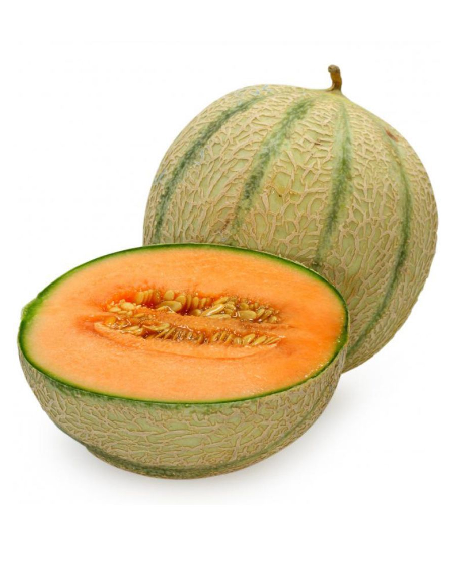 Fresh Honey Dew Melon - Kolkata Web